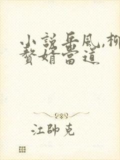 小说岳风,柳萱赘婿当道