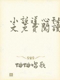 小说道心秘术全文免费阅读无弹窗封面