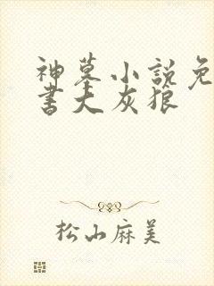 神墓小说免费听书大灰狼封面