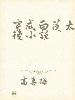 穿成白莲太子妃后小说