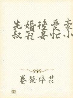 先婚后爱豪门大叔宠妻忙小说