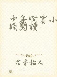 少年啊宾小说在线阅读