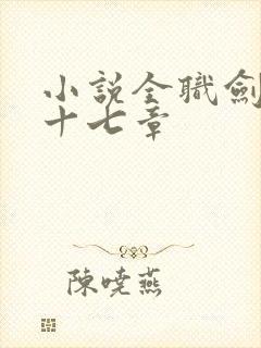 小说全职剑修第十七章