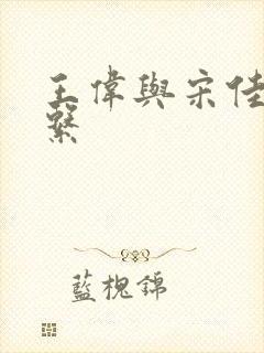 王伟与宋佳的关系