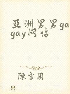 亚洲男男gaygay网站