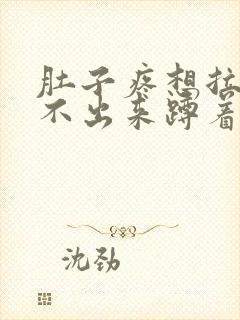 肚子疼想拉屎拉不出来蹲着就不疼