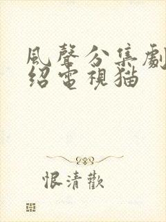 风声分集剧情介绍电视猫封面