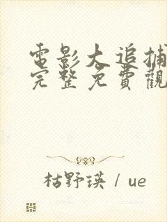 电影大追捕在线完整免费观看国语封面