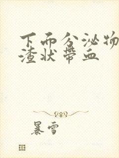 下面分泌物豆腐渣状带血封面