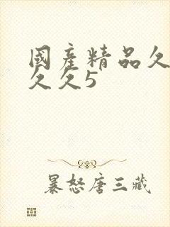 国产精品久久久久久5