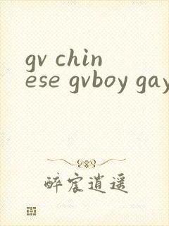 gv chinese gvboy gay tube