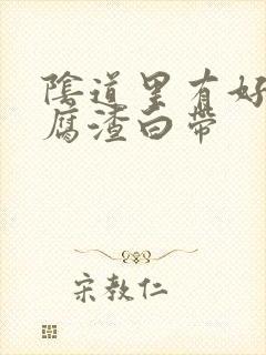 阴道里有好多豆腐渣白带