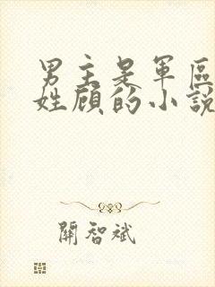 男主是军区首长姓顾的小说