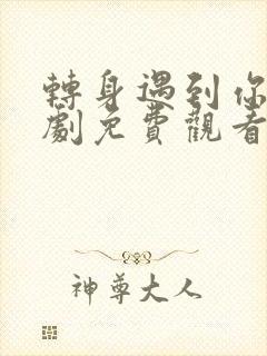 转身遇到你电视剧免费观看全集高清