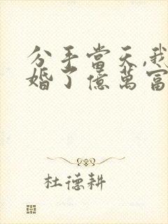 分手当天,我闪婚了亿万富豪小说