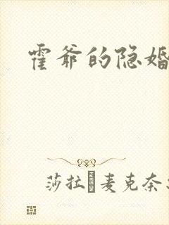 霍爷的隐婚暖妻