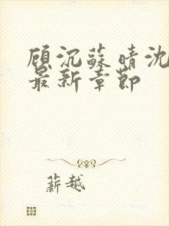 顾沉苏晴沈希仪最新章节