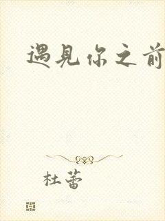 遇见你之前结局