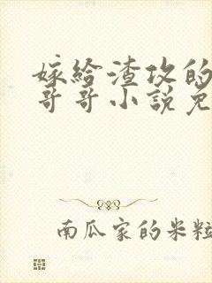 嫁给渣攻的反派哥哥小说免费封面