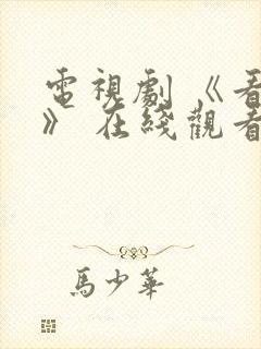 电视剧 《看见》 在线观看