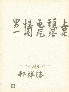 男性龟头上长了一圈疙瘩是什么