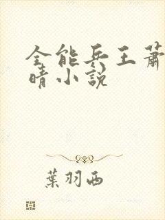 全能兵王萧晨苏晴小说