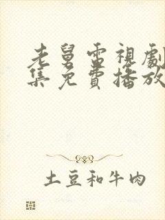 老舅电视剧40集免费播放