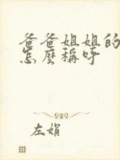 爸爸姐姐的老公怎么称呼