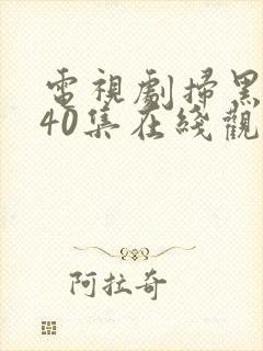 电视剧扫黑风暴40集在线观看免费完整版v