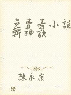 免费看小说九天斩神诀封面