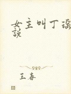 女主叫丁瑶的小说