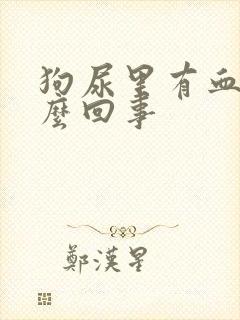 狗尿里有血是怎么回事