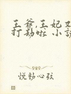 王爷,王妃又去打劫啦 小说