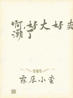 啊,好大好爽高潮了