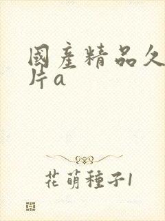 国产精品久久毛片a封面