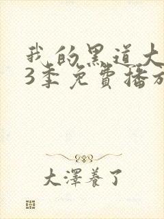 我的黑道大佬第3季免费播放在线观看