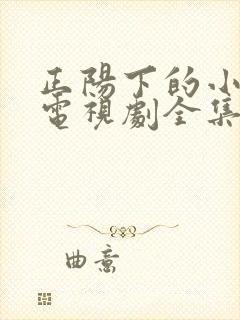 正阳下的小女人电视剧全集免费播放