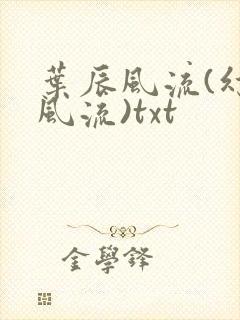 叶辰风流(幻辰风流)txt