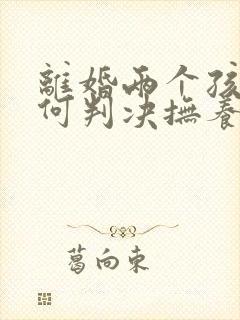 离婚两个孩子如何判决抚养权封面