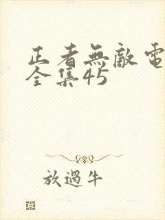 正者无敌电视剧全集45