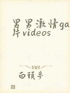 男男激情gay片videos