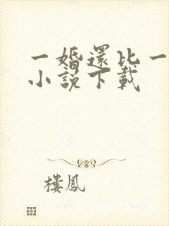 一婚还比一婚高小说下载