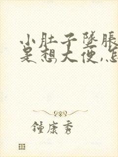 小肚子坠胀,老是想大便,怎么办啊