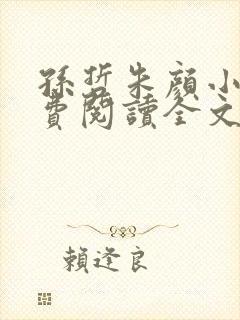 孙哲朱颜小说免费阅读全文最新章节