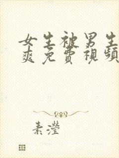 女生被男生操到爽免费视频