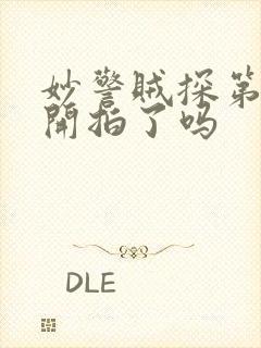 妙警贼探第七季开拍了吗