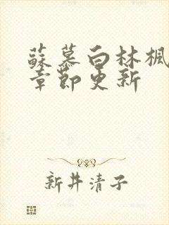 苏慕白林枫最新章节更新