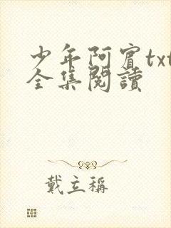 少年阿宾txt全集阅读