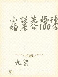 小说先婚后爱闪婚老公100分最新章节