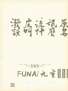 泼皮流氓原著小说叫什么名字